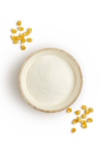 Corn starch Amilon - 8